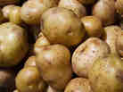 Fresh white spuds aren't allowed in a government supplemental nutrition program for women and children because, unlike other fruits and vegetables, potatoes aren't lacking in the typical diet.