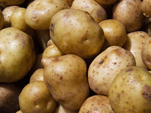 Fresh white spuds aren't allowed in a government supplemental nutrition program for women and children because, unlike other fruits and vegetables, potatoes aren't lacking in the typical diet. Fresh white spuds aren't allowed in a government supplemental nutrition program for women and children because, unlike other fruits and vegetables, potatoes aren't lacking in the typical diet.
