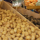 According to the National Potato Council, the U.S. Department of Agriculture "discriminates" against fresh, white potatoes. According to the National Potato Council, the U.S. Department of Agriculture "discriminates" against fresh, white potatoes.
