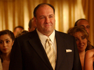 James Gandolfini played Tony Soprano in the hit TV series The Sopranos. Gandolfini died of cardiac arrest in Italy this week at age 51. James Gandolfini played Tony Soprano in the hit TV series The Sopranos. Gandolfini died of cardiac arrest in Italy this week at age 51.