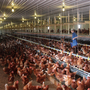 Cage-free chickens in Harold Sensenig's barn near Hershey, Pa., get to roam and perch on steel rods, but they don't go outside.