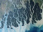 The Sundarbans, a mangrove forest at the edge of the Bay of Bengal, stretch across parts of southwestern Bangladesh and southeastern India. The Sundarbans, a mangrove forest at the edge of the Bay of Bengal, stretch across parts of southwestern Bangladesh and southeastern India.