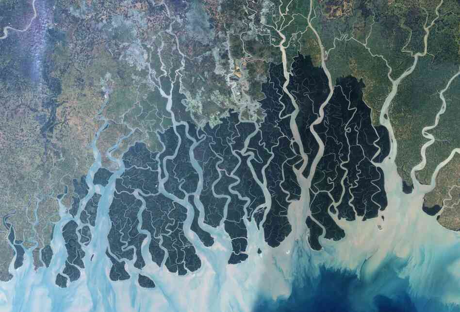 The Sundarbans, a mangrove forest at the edge of the Bay of Bengal, stretch across parts of southwestern Bangladesh and southeastern India. The Sundarbans, a mangrove forest at the edge of the Bay of Bengal, stretch across parts of southwestern Bangladesh and southeastern India.