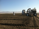 A lettuce thinner manufactured by Ramsay Highlander removes excess seedlings from the field so that others have room to grow. Just one worker is required to operate the machine. A lettuce thinner manufactured by Ramsay Highlander removes excess seedlings from the field so that others have room to grow. Just one worker is required to operate the machine.