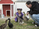 Baby Veronica and her biological father, Dusten Brown, feed geese and ducks in April in Nowata, Okla. Baby Veronica and her biological father, Dusten Brown, feed geese and ducks in April in Nowata, Okla.