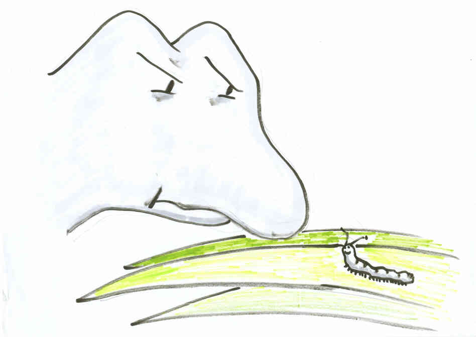 Dinosaur and caterpillar Dinosaur and caterpillar