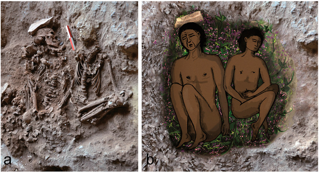 On the left, field photograph of skeletons (adult, on left; adolescent, on right) during excavation. On the right, a reconstruction of the double burial at the time of inhumation. The bright veneer inside the grave on the right, partially covered by green plants. (Image credit: Proceedings of the National Academy of Sciences)