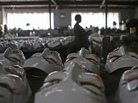 A woman cleans Guy Fawkes masks, used by many demonstrators in protests around the world and in the recent wave of demonstrations in Brazil, at a factory assembly line in Sao Goncalo, near Rio de Janeiro, June 28. A woman cleans Guy Fawkes masks, used by many demonstrators in protests around the world and in the recent wave of demonstrations in Brazil, at a factory assembly line in Sao Goncalo, near Rio de Janeiro, June 28.