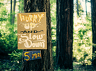 Camp Grounded is located in Northern California. Camp Grounded is located in Northern California.