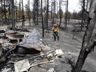 Firefighter Brandie Smith walks by the remains of a structure destroyed in the Black Forest wildfire north of Colorado Springs last month. More than 500 homes have been lost to wildfire in the state this year. Firefighter Brandie Smith walks by the remains of a structure destroyed in the Black Forest wildfire north of Colorado Springs last month. More than 500 homes have been lost to wildfire in the state this year.