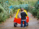 Kids play with toy cars like the Cozy Coupe partly because they want to imitate their parents: turn a steering wheel, open a door, strap a Christmas tree to the roof. But toy cars aren't just fun and games; they can suggest future trends in the automobile industry. Kids play with toy cars like the Cozy Coupe partly because they want to imitate their parents: turn a steering wheel, open a door, strap a Christmas tree to the roof. But toy cars aren't just fun and games; they can suggest future trends in the automobile industry.