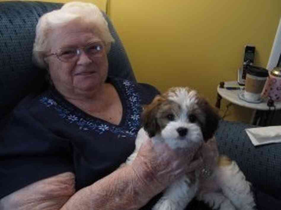 Dorothy Holmes, back home with her new dog, Jack. Dorothy Holmes, back home with her new dog, Jack.