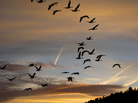 iStockphoto.com iStockphoto.com