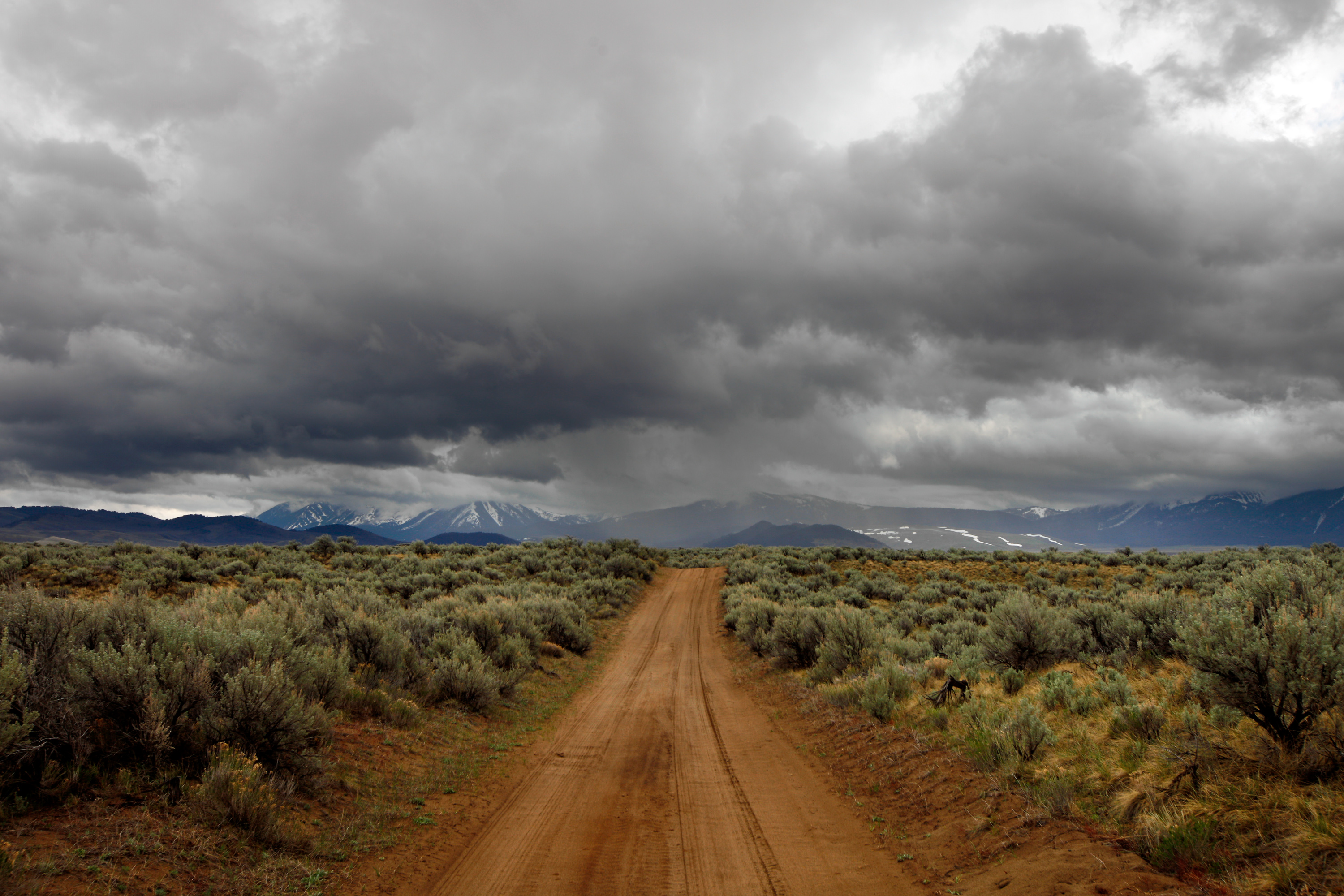 One of the few roads through the Centennial Valley passes through the sagebrush-covered dunes of the Centennial Sandhills Preserve. One of the few roads through the Centennial Valley passes through the sagebrush-covered dunes of the Centennial Sandhills Preserve.