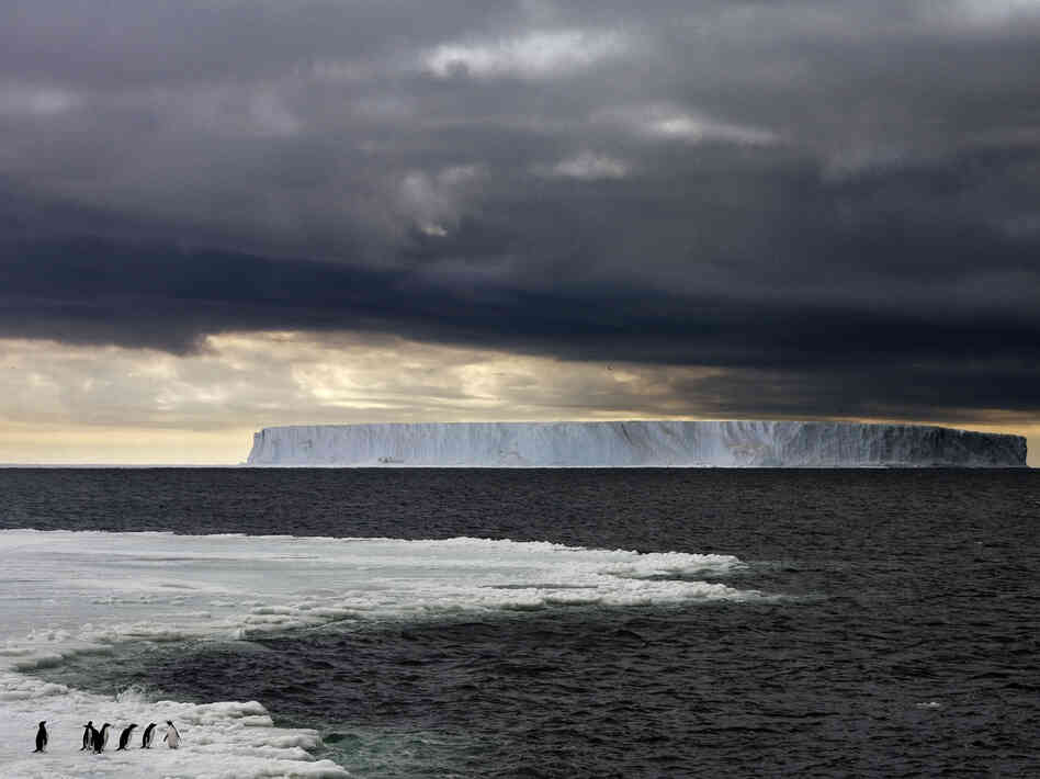 Iceberg Iceberg