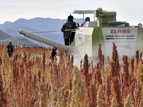 A combine harverster at work in a quinoa field in Pukara, southern Bolivia, in March. Bolivia produces 70 percent of the world's quinoa. A combine harverster at work in a quinoa field in Pukara, southern Bolivia, in March. Bolivia produces 70 percent of the world's quinoa.