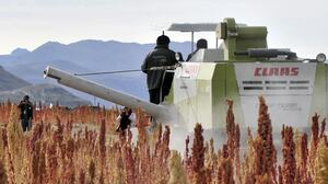 A combine harverster at work in a quinoa field in Pukara, southern Bolivia, in March. Bolivia produces 70 percent of the world's quinoa.