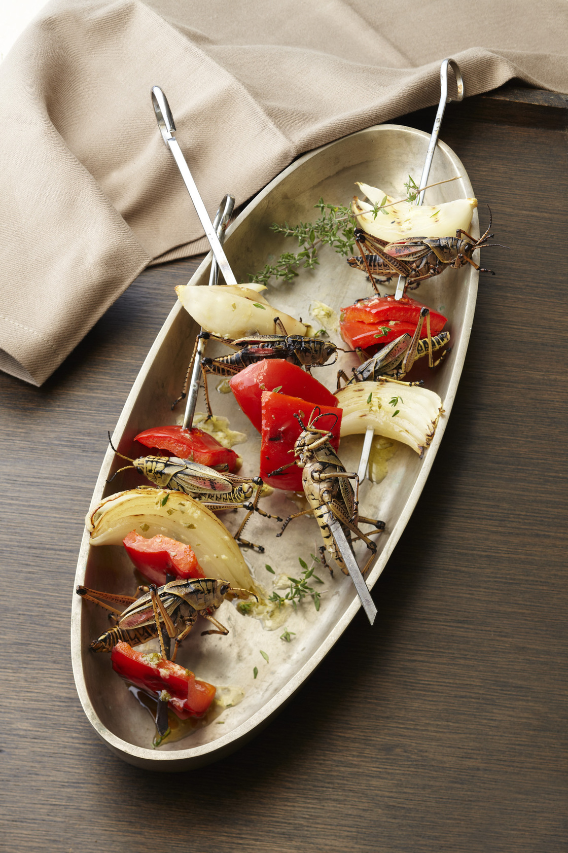 Sheesh! kebabs can be made with frozen katydids, grasshoppers or other large-bodied arthropods. Sheesh! kebabs can be made with frozen katydids, grasshoppers or other large-bodied arthropods.