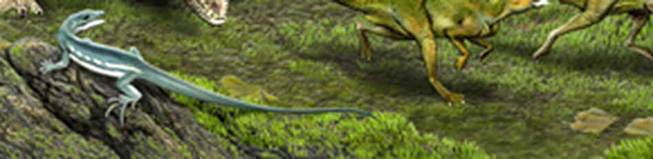 An illustration of the extinct lizard Obamadon. An illustration of the extinct lizard Obamadon.