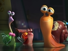 Turbo, center, is the hero of an unlikely adventure involving six or seven talking mollusks, a similar number of humans willing to gamble large sums of money on them, and the Indianapolis Motor Speedway. And they say Hollywood doesn't have any new ideas. Turbo, center, is the hero of an unlikely adventure involving six or seven talking mollusks, a similar number of humans willing to gamble large sums of money on them, and the Indianapolis Motor Speedway. And they say Hollywood doesn't have any new ideas.