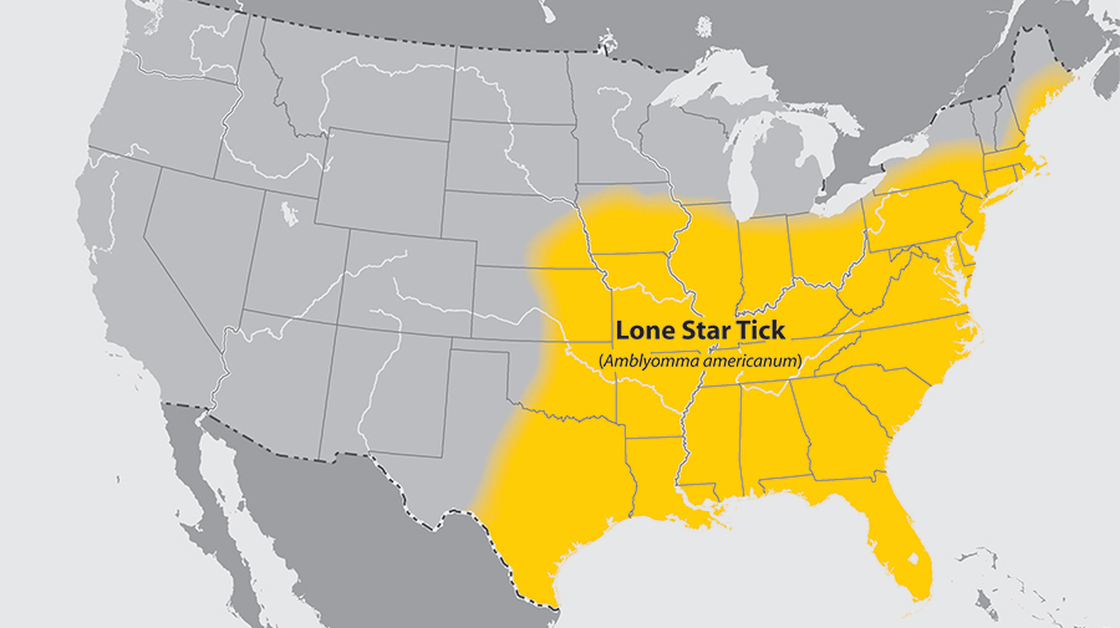 The lone star tick lives primarily in the Southeast U.S. but also thrives along the New England coast. The lone star tick lives primarily in the Southeast U.S. but also thrives along the New England coast.