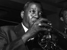 When Gene Krupa's orchestra was cast in 1941's Ball of Fire, trumpeter Roy Eldridge's presence was not negotiable. When Gene Krupa's orchestra was cast in 1941's Ball of Fire, trumpeter Roy Eldridge's presence was not negotiable.