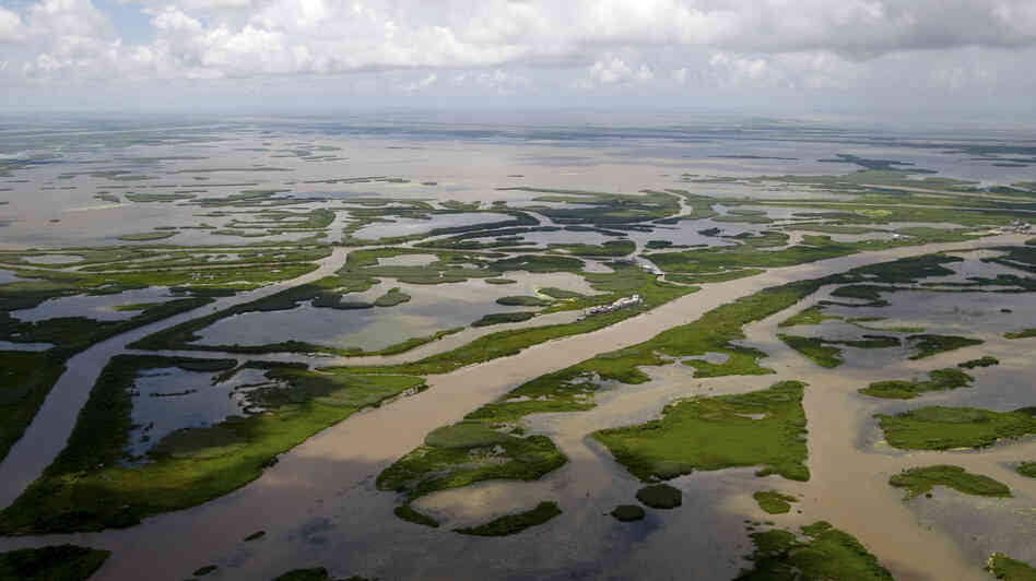 Canals created for navigation and oil and gas pipelines cut through the marsh off the coast of Louisiana, seen in 2010. Canals created for navigation and oil and gas pipelines cut through the marsh off the coast of Louisiana, seen in 2010.