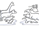 Northern animals vs. Southern animals Northern animals vs. Southern animals