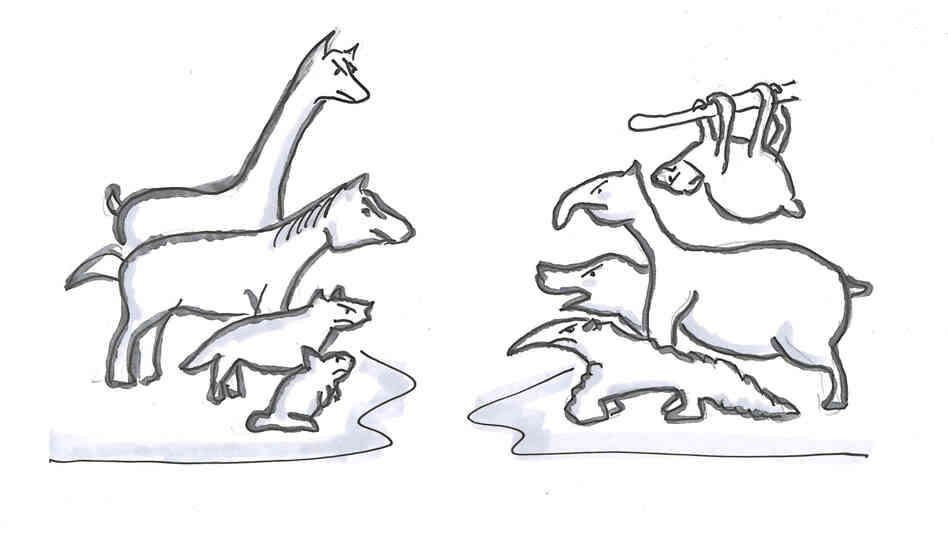 Northern animals vs. Southern animals Northern animals vs. Southern animals