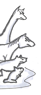 Northern animals