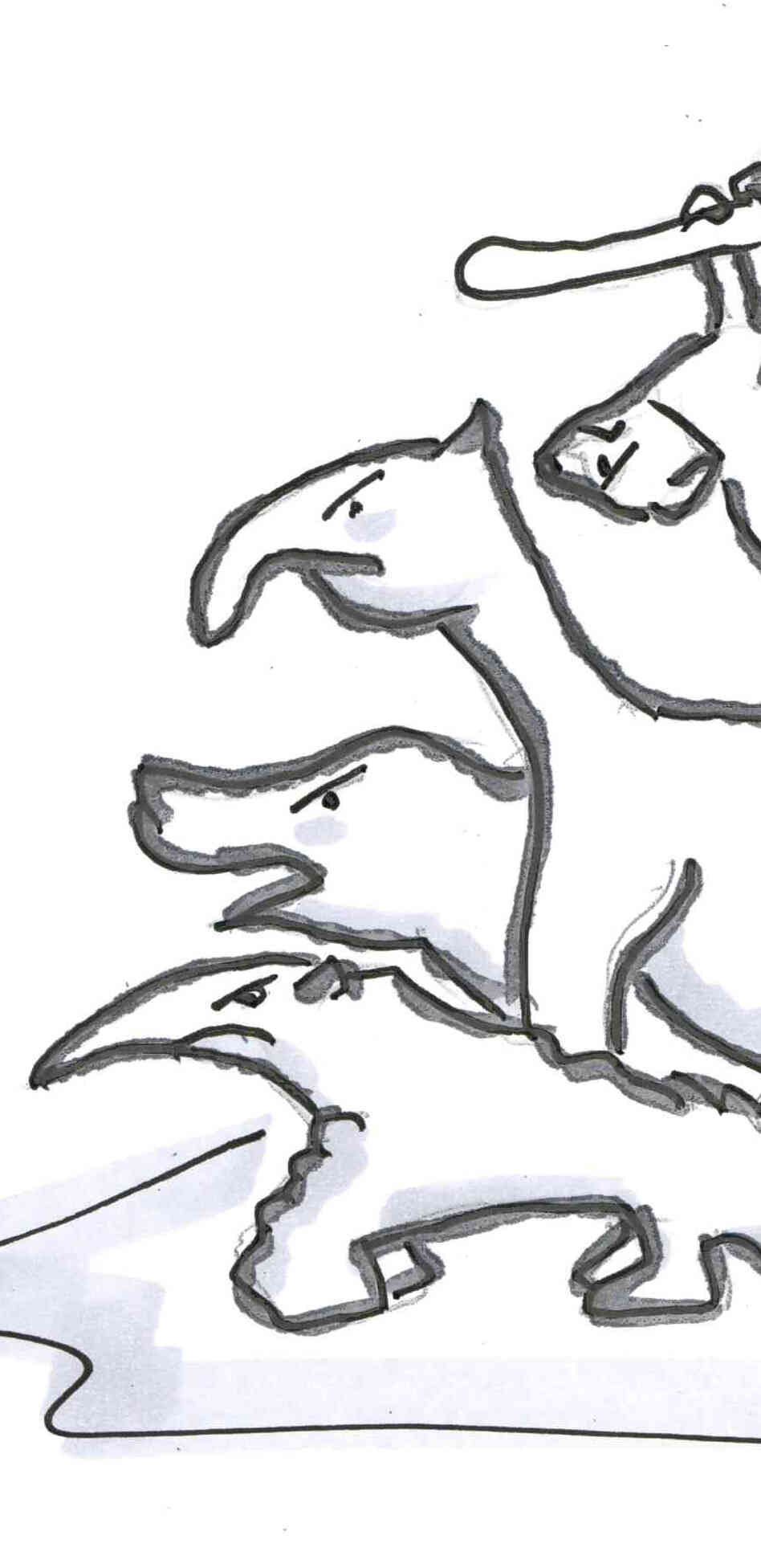 Southern animals Southern animals