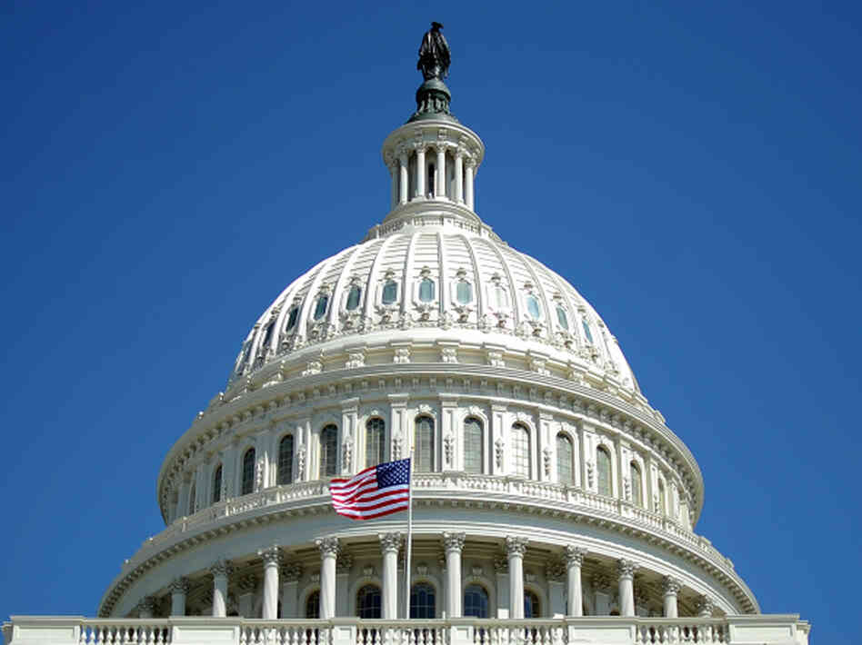 The dome of the U.S. Capitol is pictured in Washington, D.C. The dome of the U.S. Capitol is pictured in Washington, D.C.