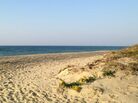 The Martha's Vineyard beach where Heidi Feldman collects saltwater to make sea salt. The Martha's Vineyard beach where Heidi Feldman collects saltwater to make sea salt.