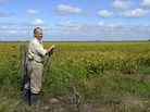 An Argentine farmer stands by his field of trangenic soy, designed for resistance to drought and salinity. An Argentine farmer stands by his field of trangenic soy, designed for resistance to drought and salinity.
