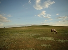 Pine Ridge Indian Reservation, South Dakota. Pine Ridge Indian Reservation, South Dakota.