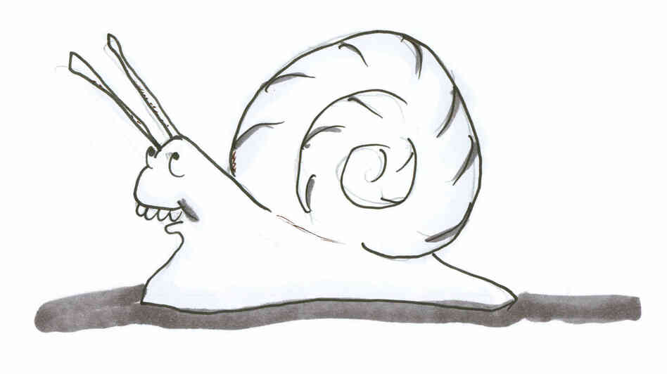 Snail 1 Snail 1
