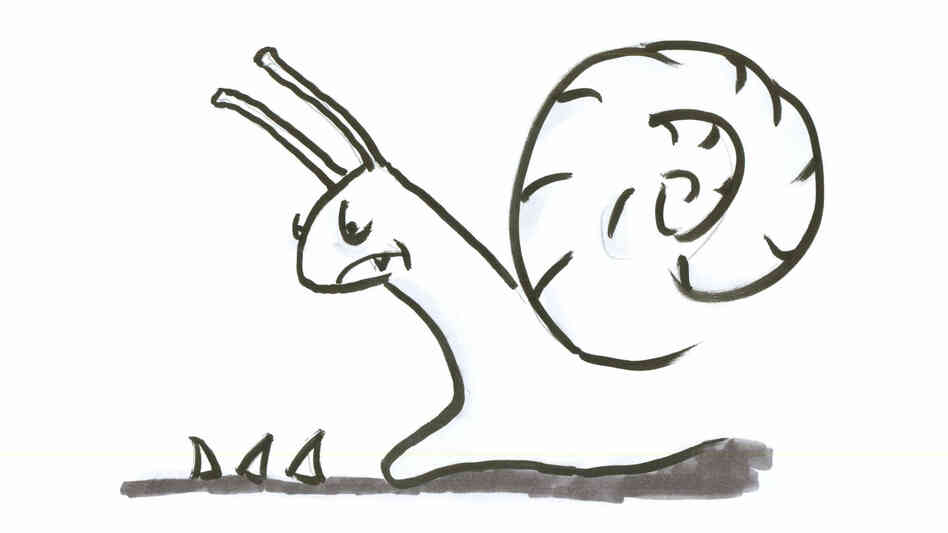 Snail 4 Snail 4