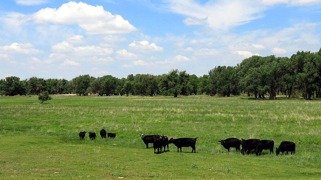 Fox Ranch, outside Yuma County, Colo., is a 14,000-acre nature preserve and working commercial cattle ranch. The ranch is used by the Nature Conservancy to put into practice its panned grazing technique.