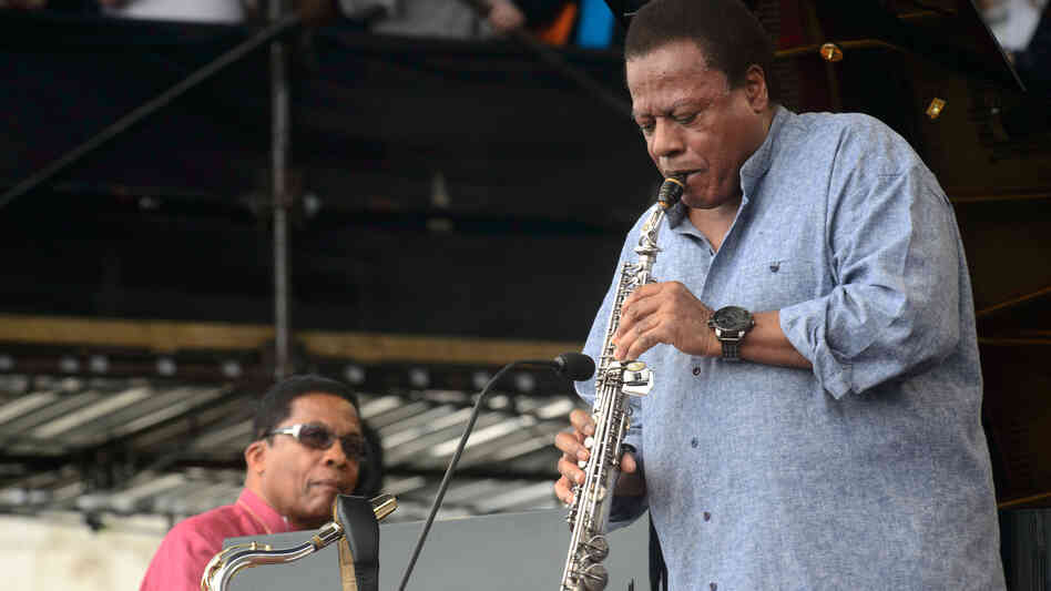 Wayne Shorter performs with Herbie Hancock at the 2013 Newport Jazz Festival. Wayne Shorter performs with Herbie Hancock at the 2013 Newport Jazz Festival.