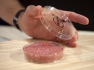 The scientists who developed the in vitro beef say it could help solve the coming food crisis and combat climate change. The scientists who developed the in vitro beef say it could help solve the coming food crisis and combat climate change.