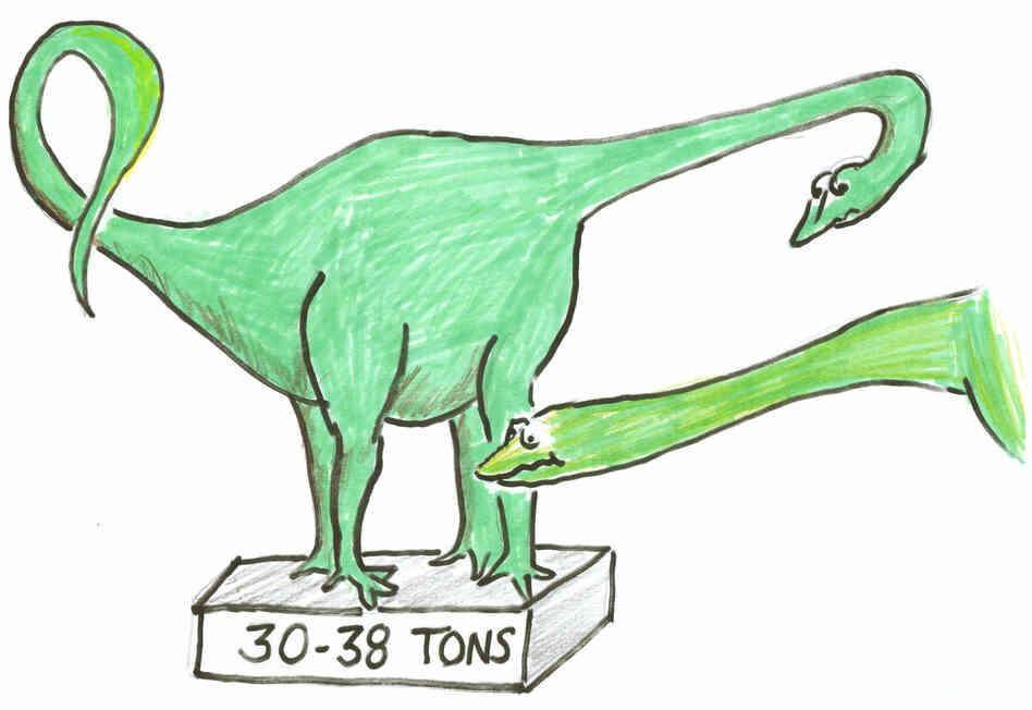 Dino 5 Dino 5
