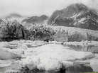 Pedersen Glacier, 1917 Pedersen Glacier, 1917