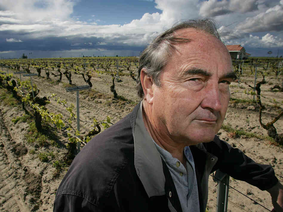Raisin farmer Marvin Horne stands in a field of grapevines planted next to his home. Raisin farmer Marvin Horne stands in a field of grapevines planted next to his home.
