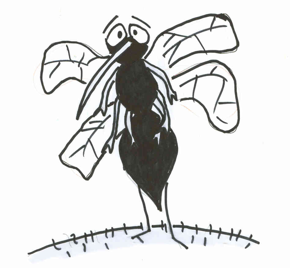 mosquito mosquito