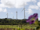 Wind turbines at the Kahuku wind farm on Oahu's North Shore in 2011. Hawaiian energy managers are hoping to build stronger connections with customers to better manage renewable sources of energy on the grid. Wind turbines at the Kahuku wind farm on Oahu's North Shore in 2011. Hawaiian energy managers are hoping to build stronger connections with customers to better manage renewable sources of energy on the grid.