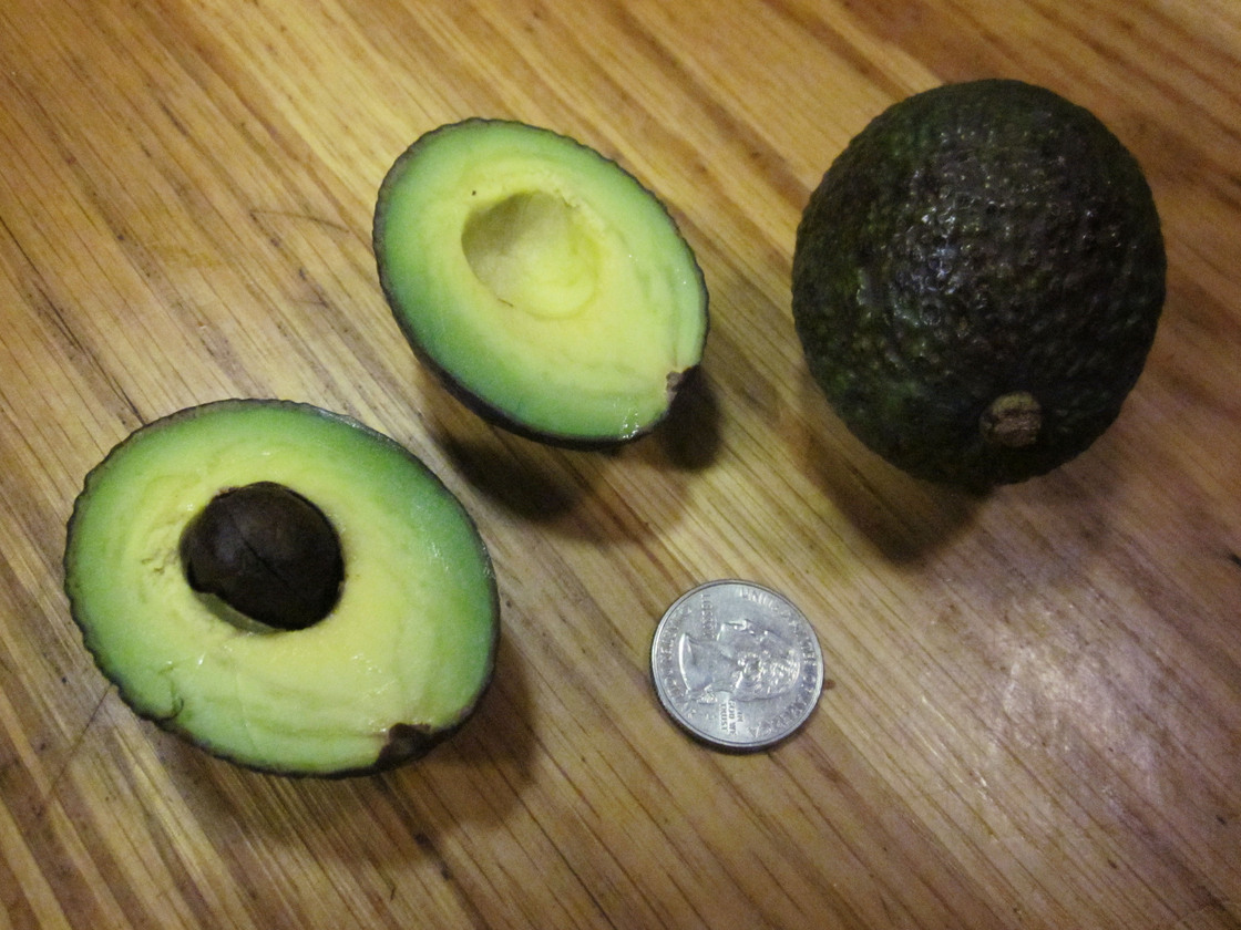 This season's avocados are the smallest in memory. We found some that were as tiny as 47 grams.