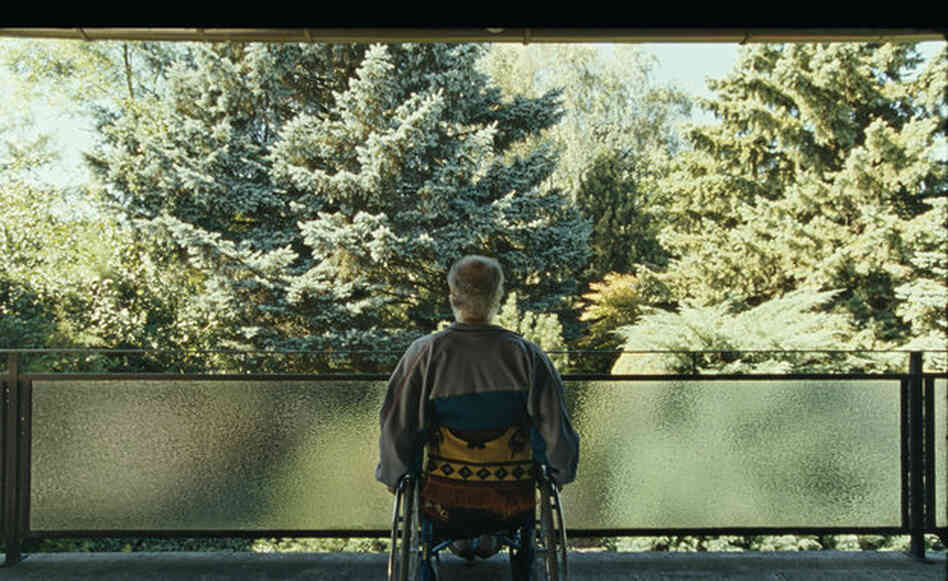 In the centerpiece of Austrian director Ulrich Seidl's Paradise trilogy, Nabil Saleh plays Nabil, the estranged husband of a woman on a spiritual quest. In the centerpiece of Austrian director Ulrich Seidl's Paradise trilogy, Nabil Saleh plays Nabil, the estranged husband of a woman on a spiritual quest.