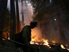 A Colorado-based firefighter monitors a backfire while battling the Rim Fire in Groveland, Calif., on Thursday. The Rim Fire continues to burn out of control and has grown to more than 105,000 acres, officials said Friday. A Colorado-based firefighter monitors a backfire while battling the Rim Fire in Groveland, Calif., on Thursday. The Rim Fire continues to burn out of control and has grown to more than 105,000 acres, officials said Friday.