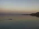 An Israeli man bathes in the Dead Sea. Spas have long touted the health benefits of the Dead Sea. So does Naked Sea Salt. An Israeli man bathes in the Dead Sea. Spas have long touted the health benefits of the Dead Sea. So does Naked Sea Salt.
