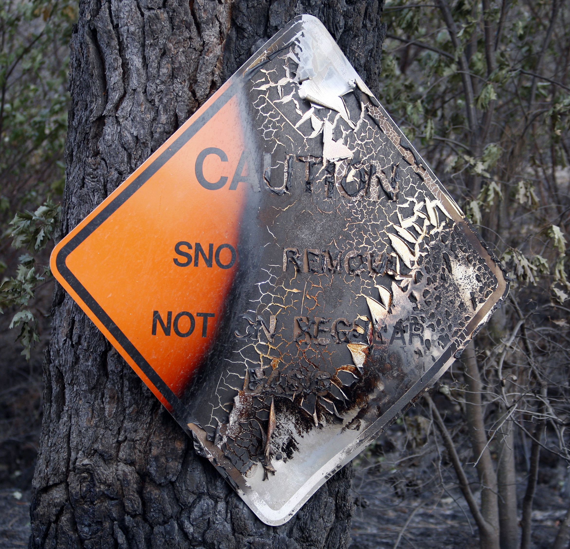 A charred caution sign just outside of California